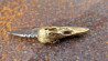 Le Corbak, mini couteau de collection en damas tête de corbeau en bronze