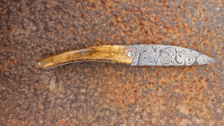 Couteau de collection Toltek en damas Œil d'Odin et son manche en loupe de myrthe Ardèchoise
