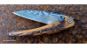 Couteau Toltek manche en Snakewood et sa lame damas