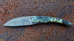 Couteau Berzerker en entrefourche de peuplier du Coiron en Ardèche et sa lame damas œil d'Odin