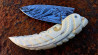 Couteau à friction manche en dent de Phacochère gravée et sa lame damas