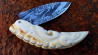 Couteau à friction manche en dent de Phacochère gravée et sa lame damas
