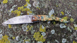 Couteau de Collection Berzerker manche en entrefourche de peuplier stabilisée et teintée